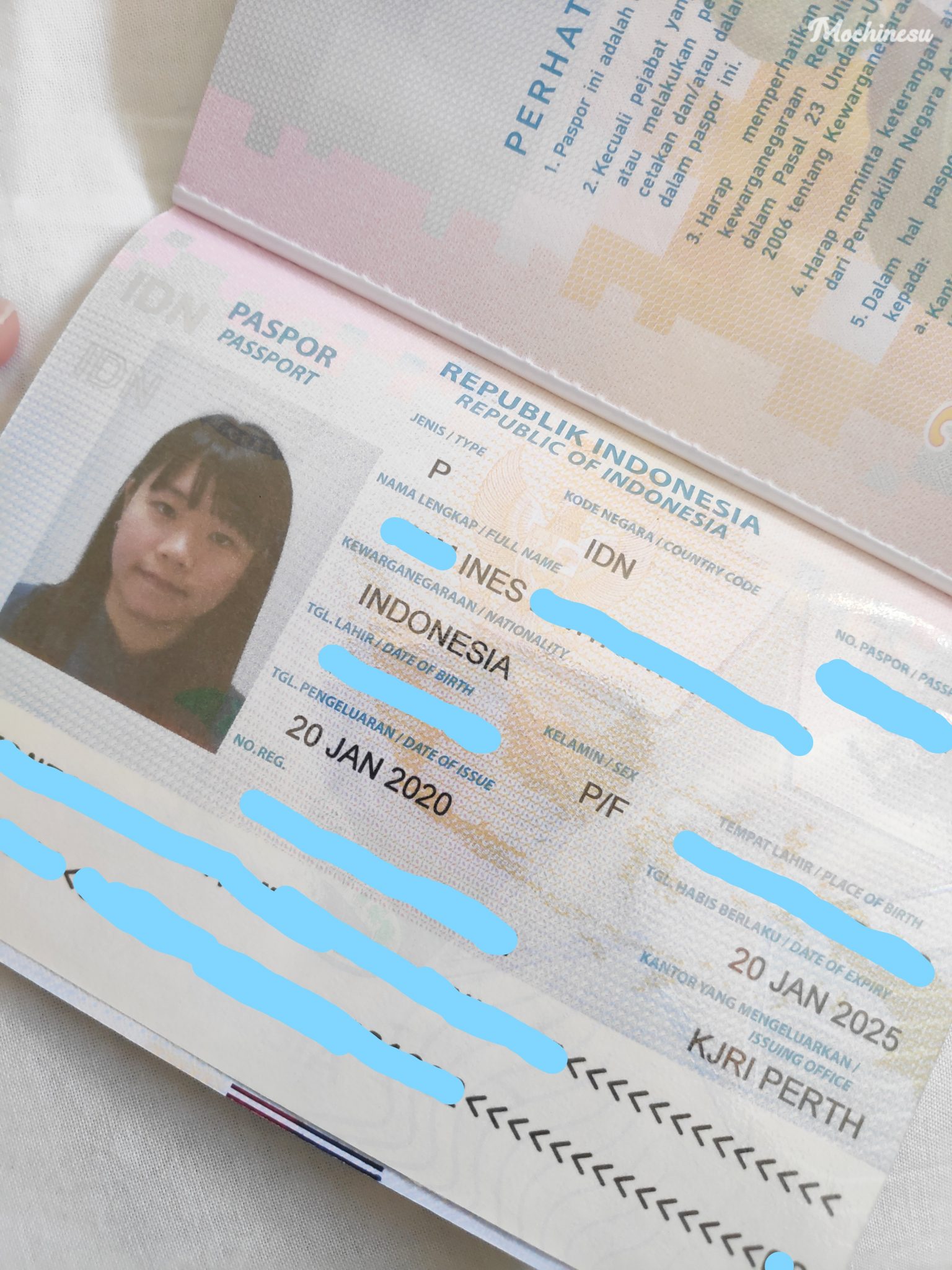 паспорт индонезии